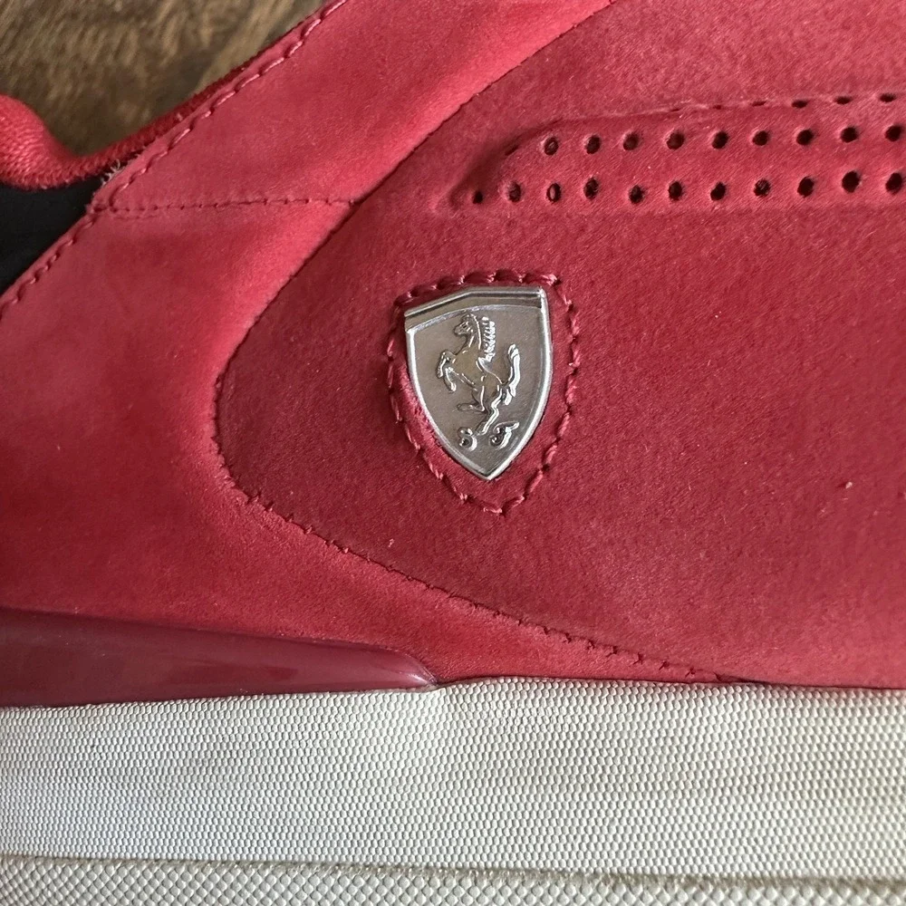 Puma gigante lo